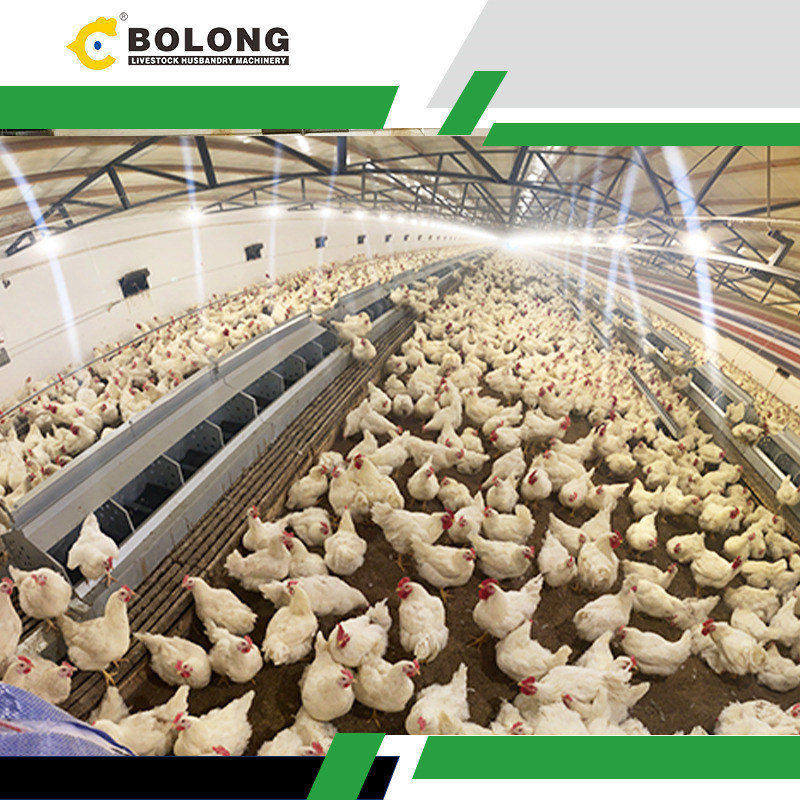 Environmental Benefits of Egg Collection Systems